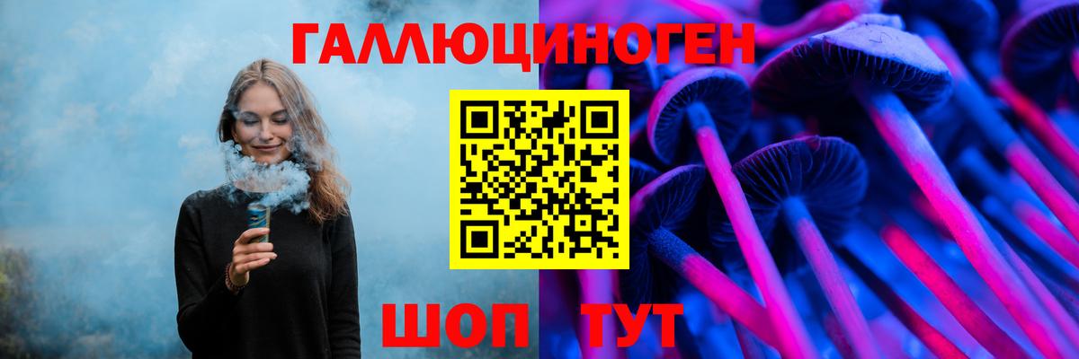 Псилоцибиновые грибы Cubensis Гусев