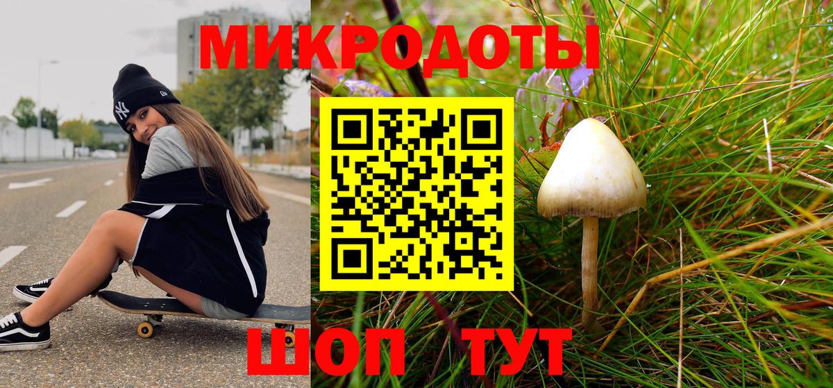 Псилоцибиновые грибы ЛСД  Вход с VPN  Гусев  Псилоцибиновые грибы Psilocybine cubensis 